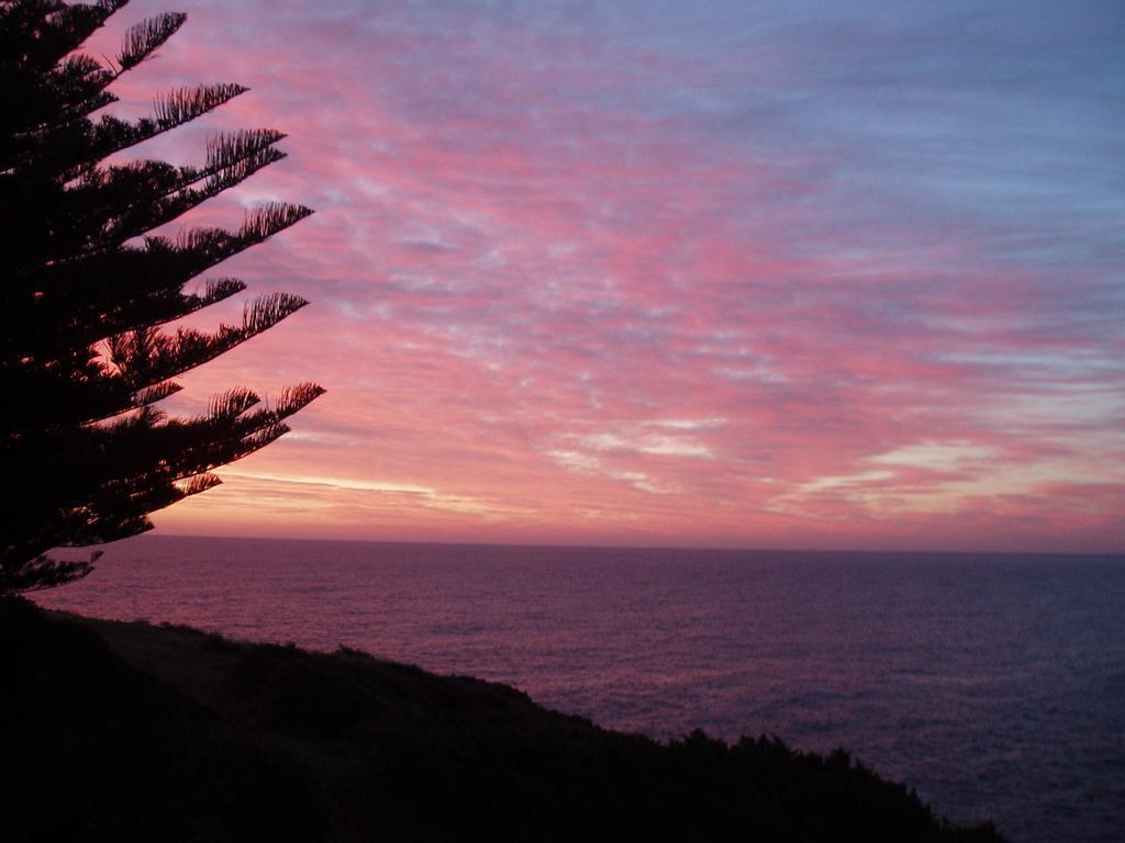 Bed and Breakfast Sea Whispers Kiama Zewnętrze zdjęcie